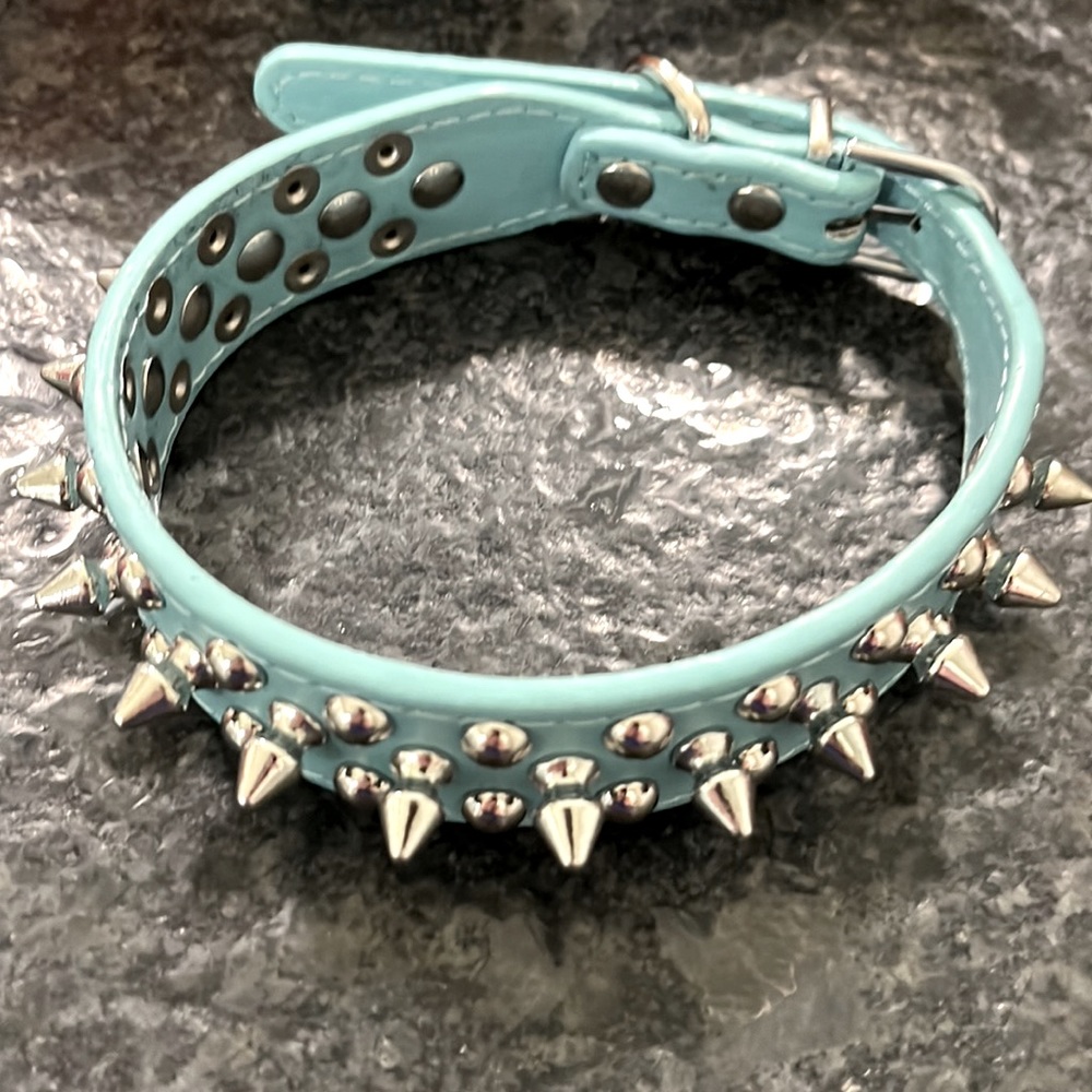 𝐔𝐏𝐆𝐑𝐀𝐃𝐄𝐃 𝐕𝐄𝐑𝐒𝐈𝐎𝐍 Spiked Studded Leather Dog Collar w/Leash Medium - Picture 2 of 4